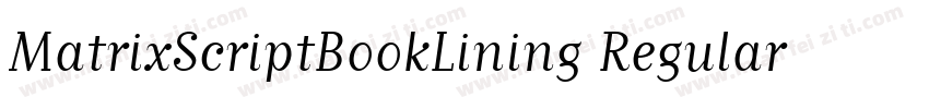 MatrixScriptBookLining Regular字体转换